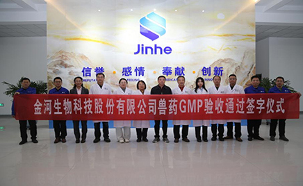 HJCƽǹٷվڹĿֳͨGMP